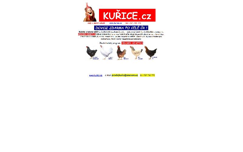 Aktuality - PRODEJ CHOVNÝCH KUŘIC
